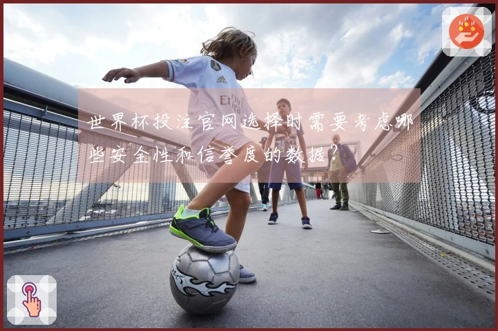 世界杯投注官网选择时需要考虑哪些安全性和信誉度的数据？