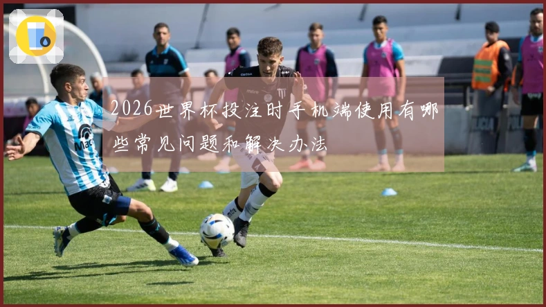 2026世界杯投注时手机端使用有哪些常见问题和解决办法