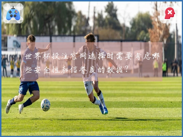 世界杯投注官网选择时需要考虑哪些安全性和信誉度的数据？
